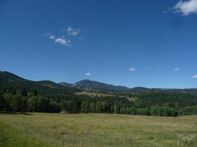 165 Rye Co 81069 Rye, CO 81069 - Photo 1 of 1