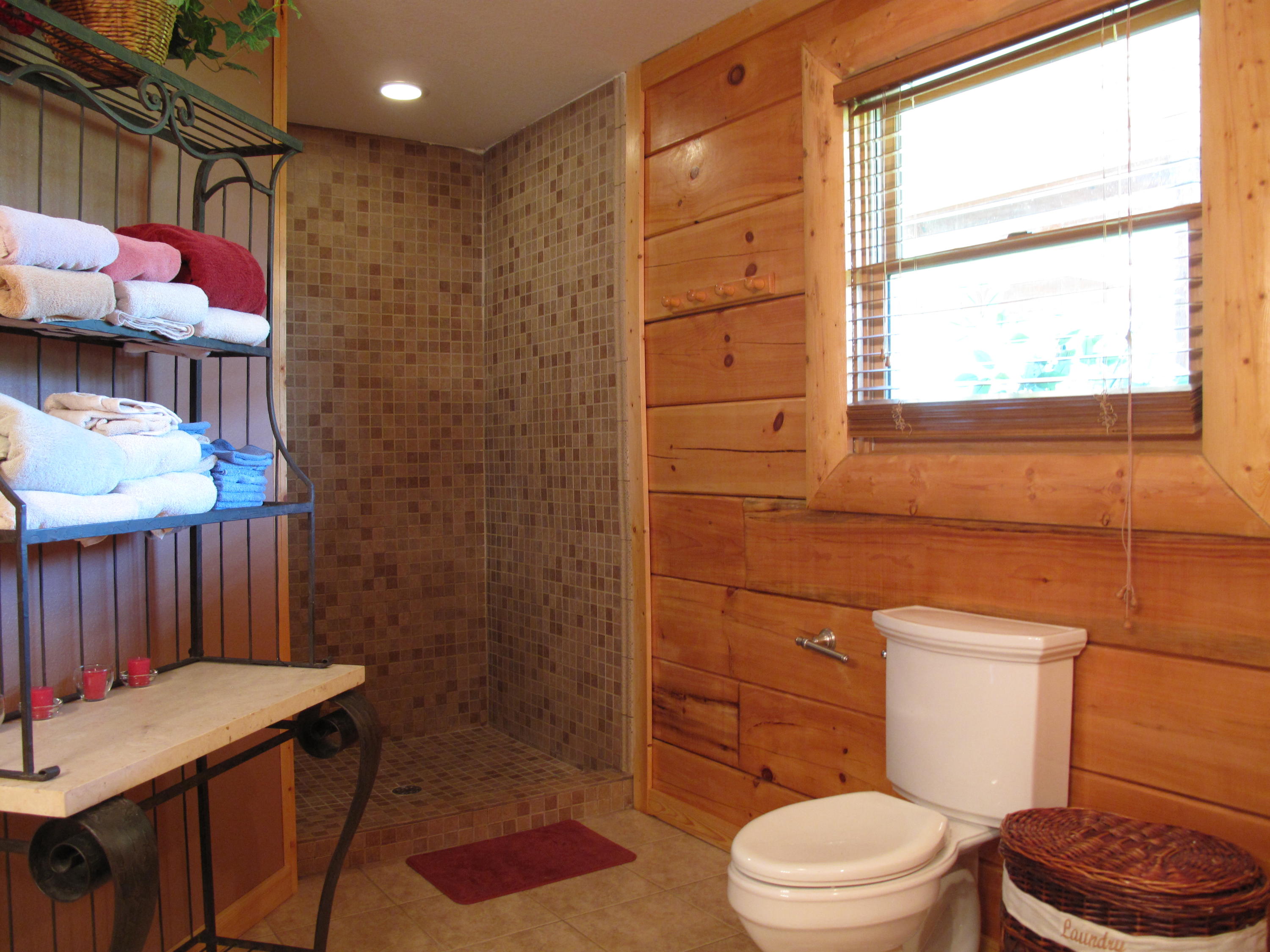 4159 Newport Highway Sevierville, TN 37876 - Photo 15 of 36 IMG_6787