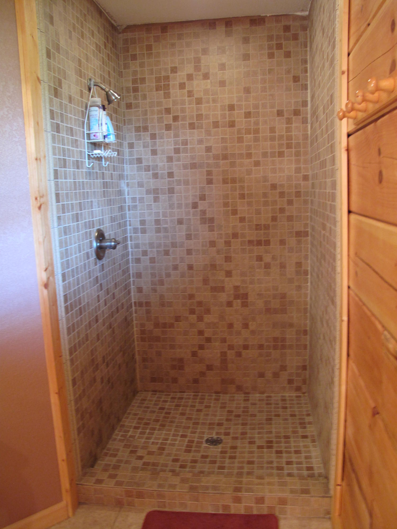 4159 Newport Highway Sevierville, TN 37876 - Photo 16 of 36 IMG_6786