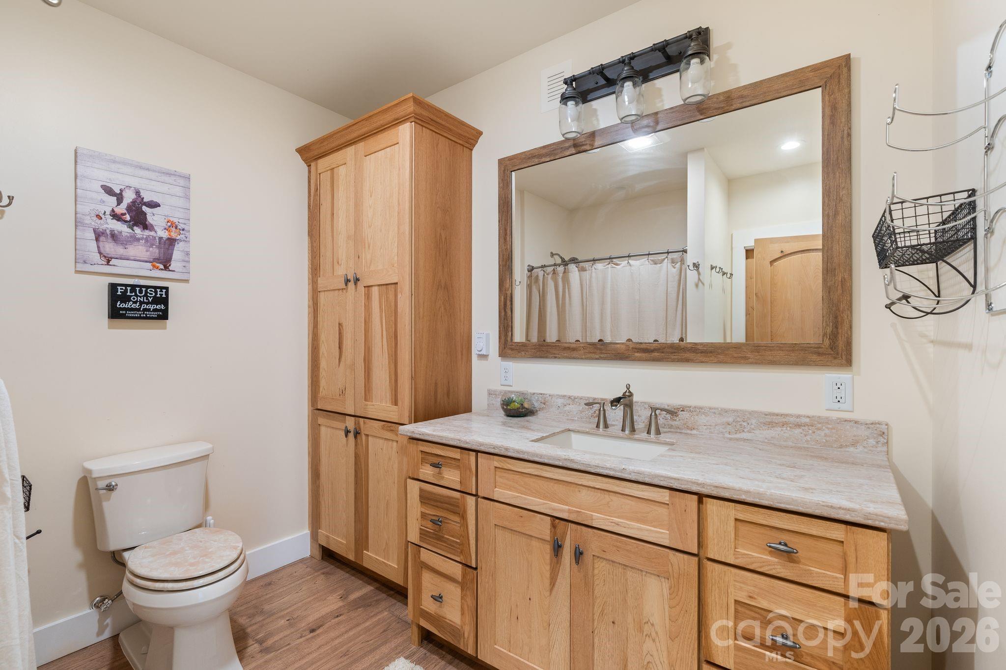 34 Rose Creek Road Leicester, NC 28748 - Photo 33 of 37 a bathroom with a granite countertop sink mirror vanity and toilet