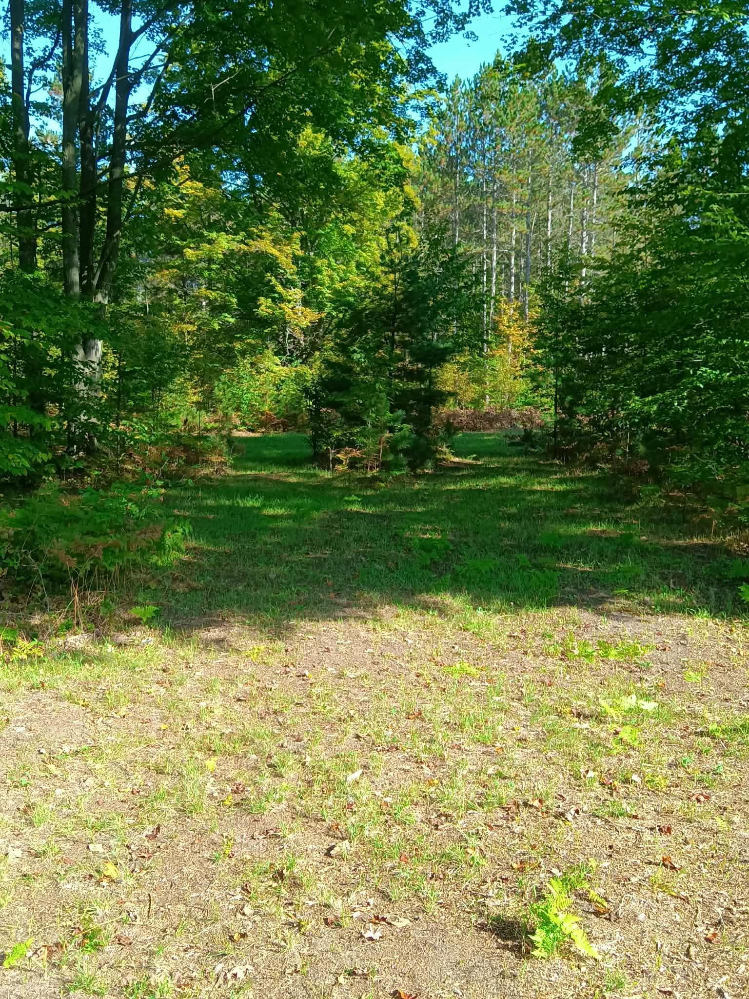 13544 Aylsworth Road Beulah, MI 49617 - Photo 3 of 29