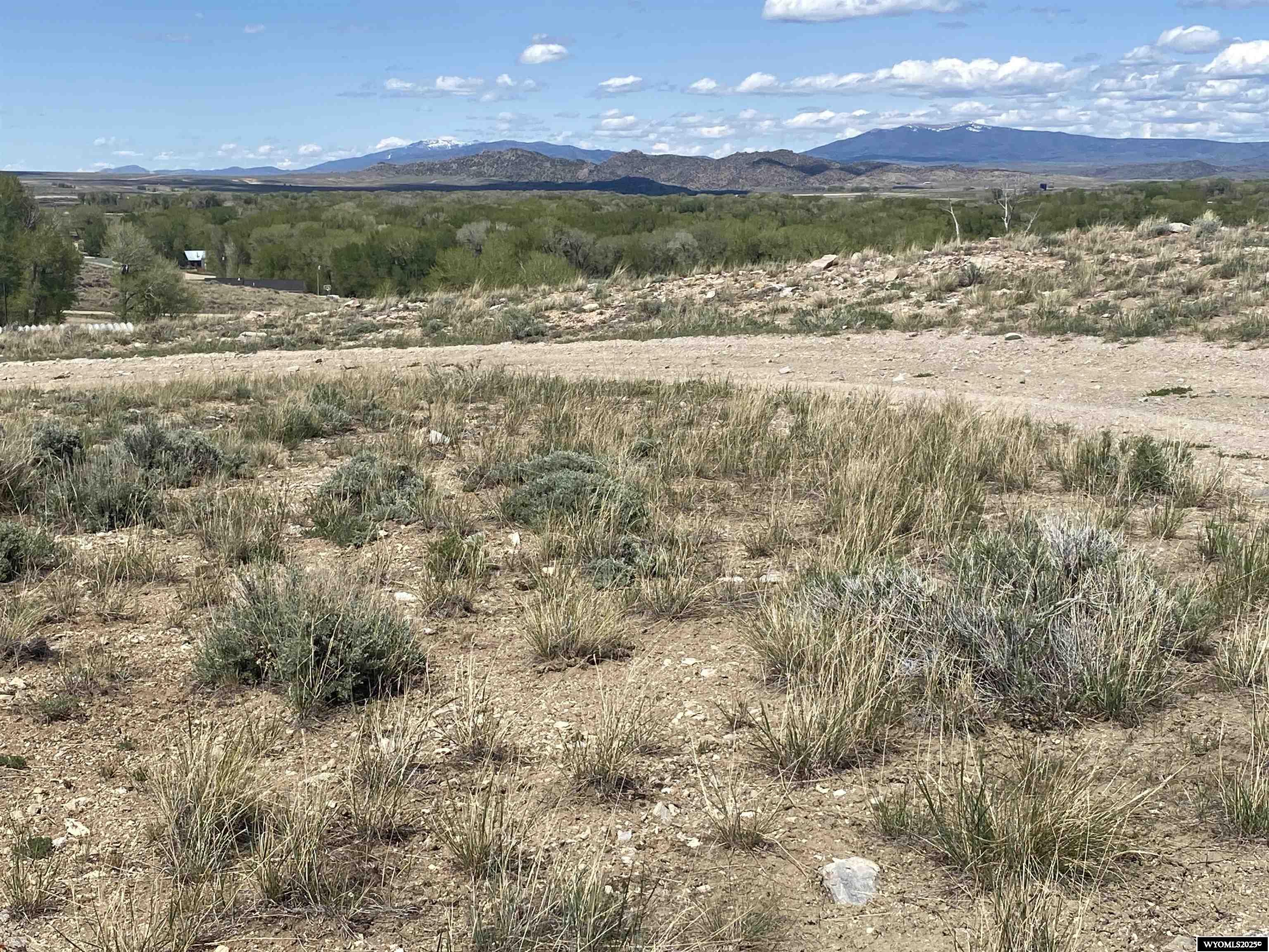 Jackson Avenue Encampment, WY 82325 - Photo 3 of 8