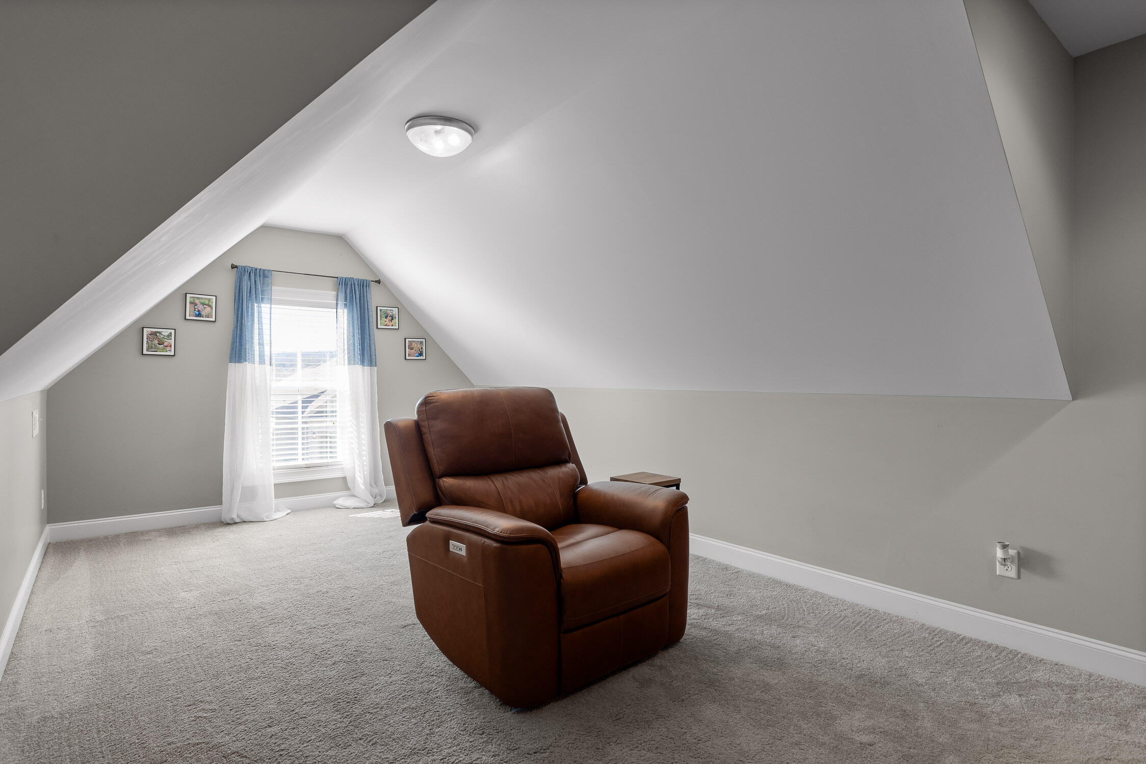 309 Maple Grove Lane Apison, TN 37302 - Photo 22 of 42 Extra Room