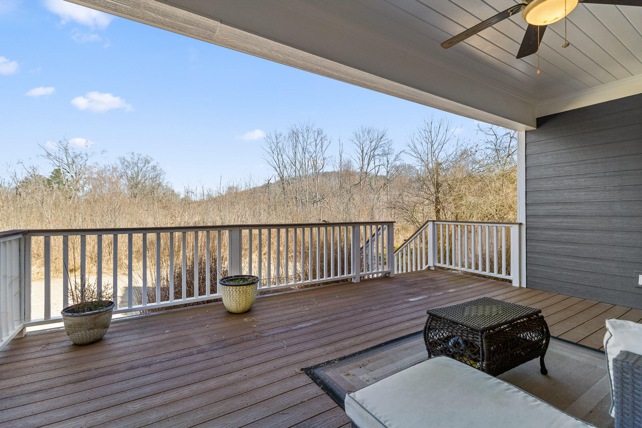 309 Maple Grove Lane Apison, TN 37302 - Photo 39 of 42 42-Maple Grove-42