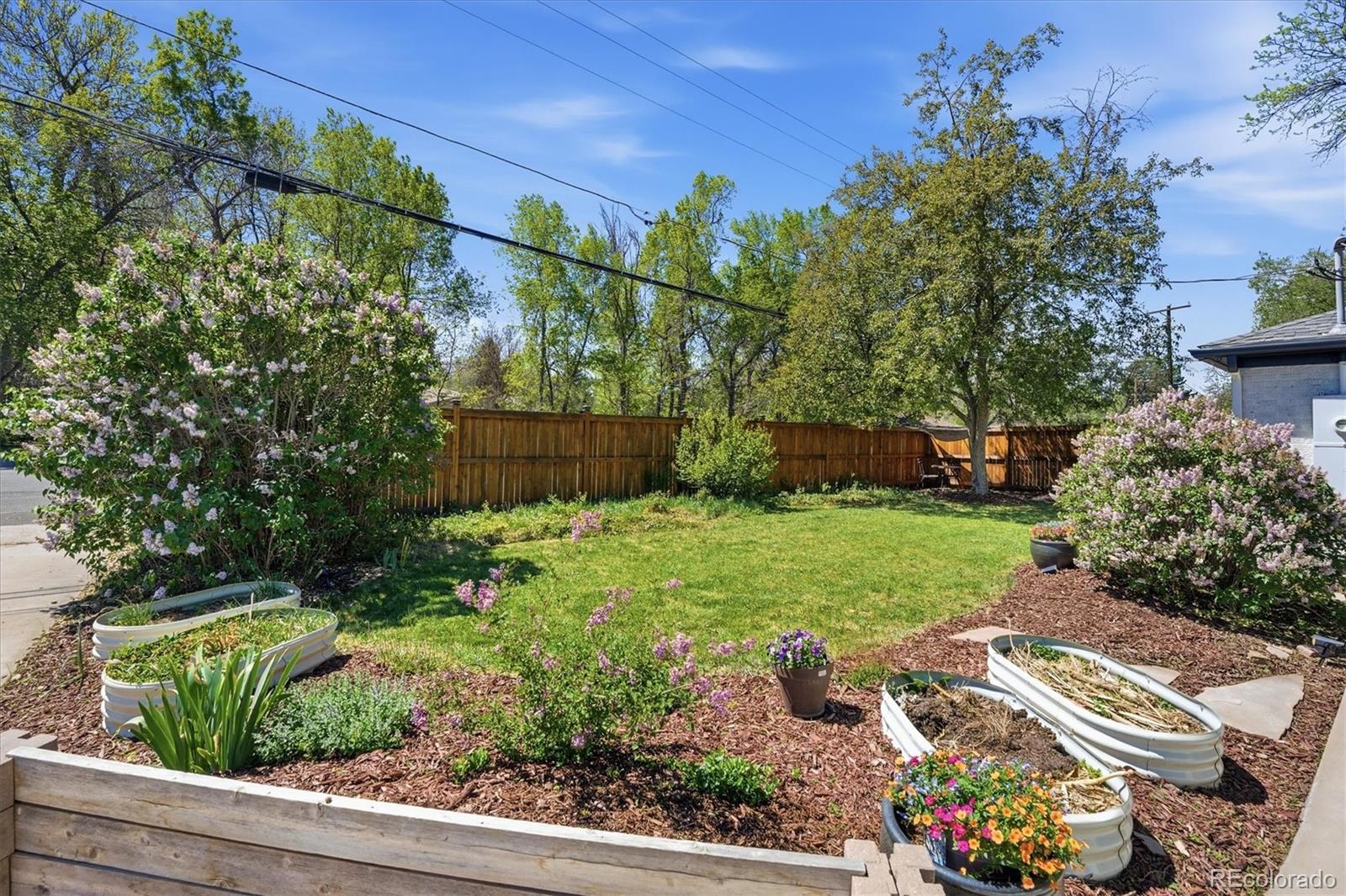 3506 Newland Street Wheat Ridge, CO 80033 - Photo 28 of 50