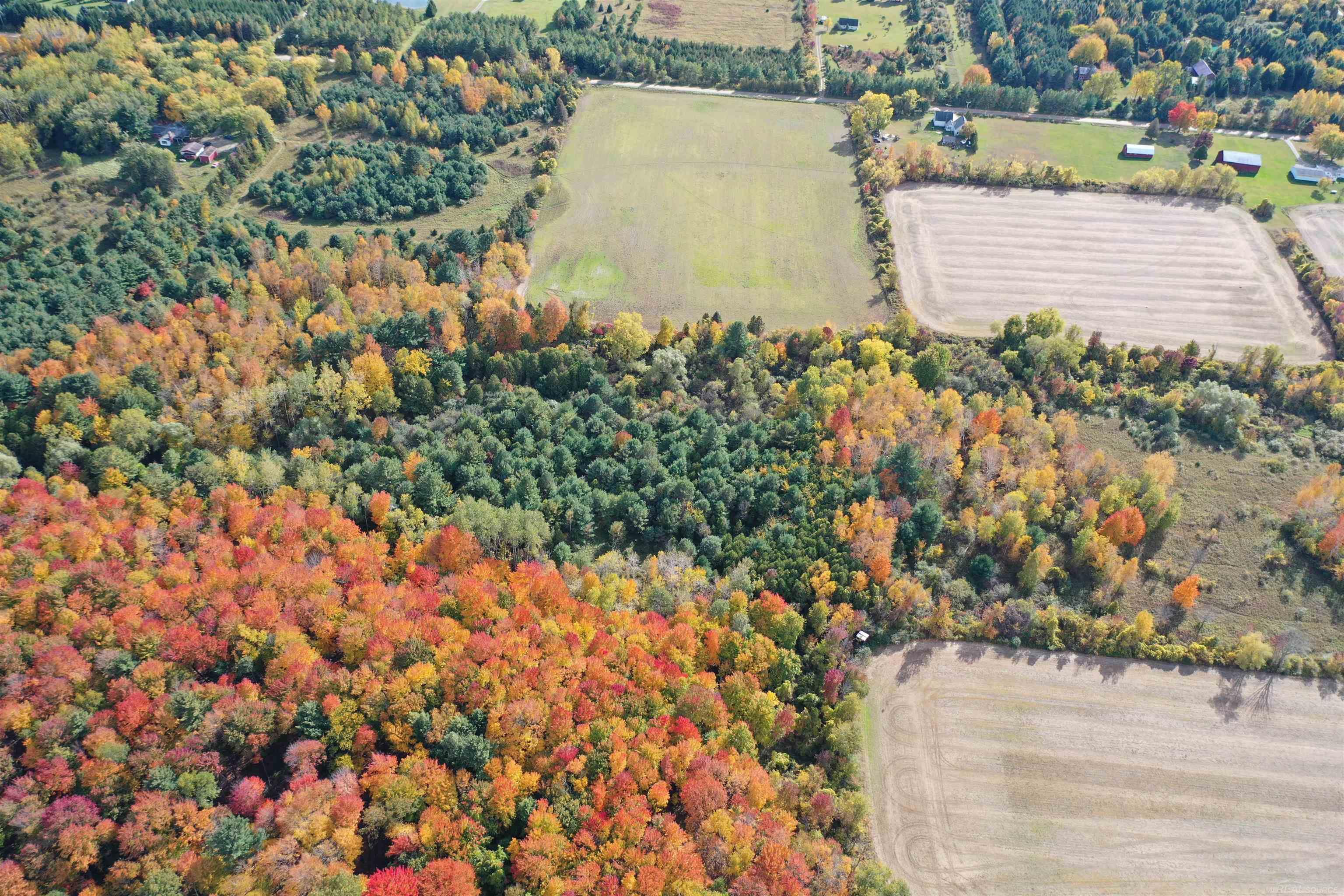 0 French Line Road Carsonville, MI 48419 - Photo 5 of 25