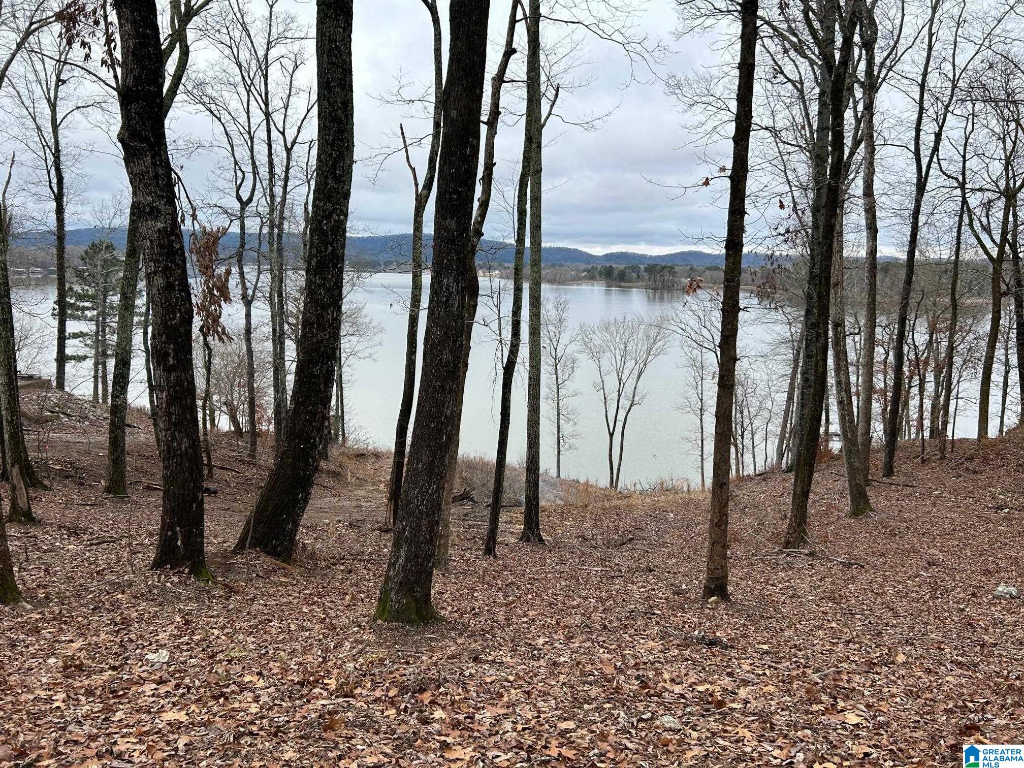 0 Leota Road, Unit 10 Gadsden, AL 35907 - Photo 15 of 19