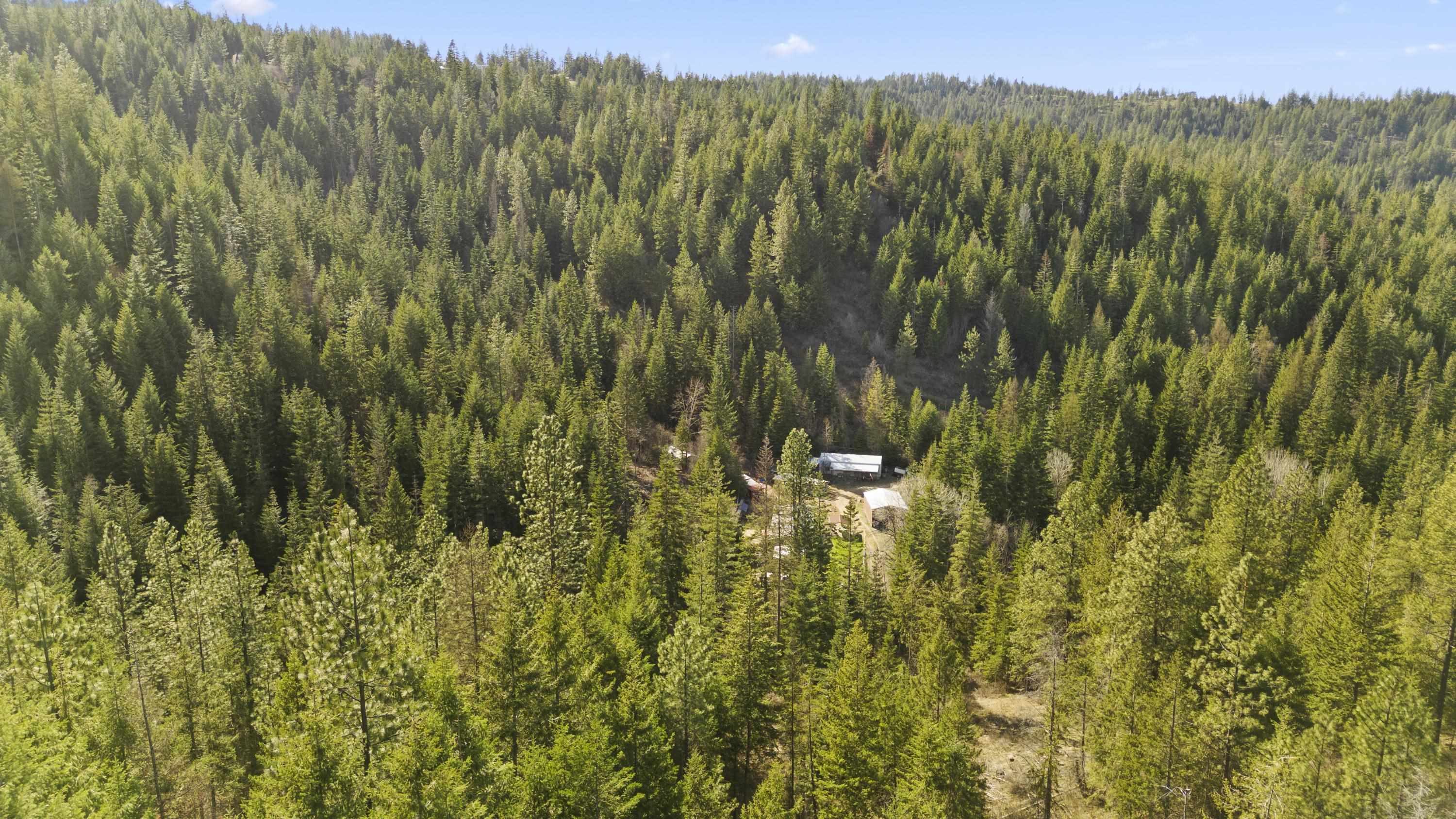 19924 East Temple Road Spokane, WA 99217 - Photo 45 of 50