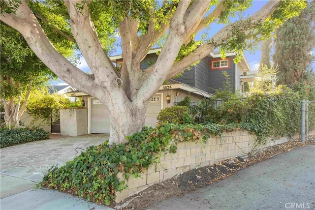 a pathway of a house with a tree