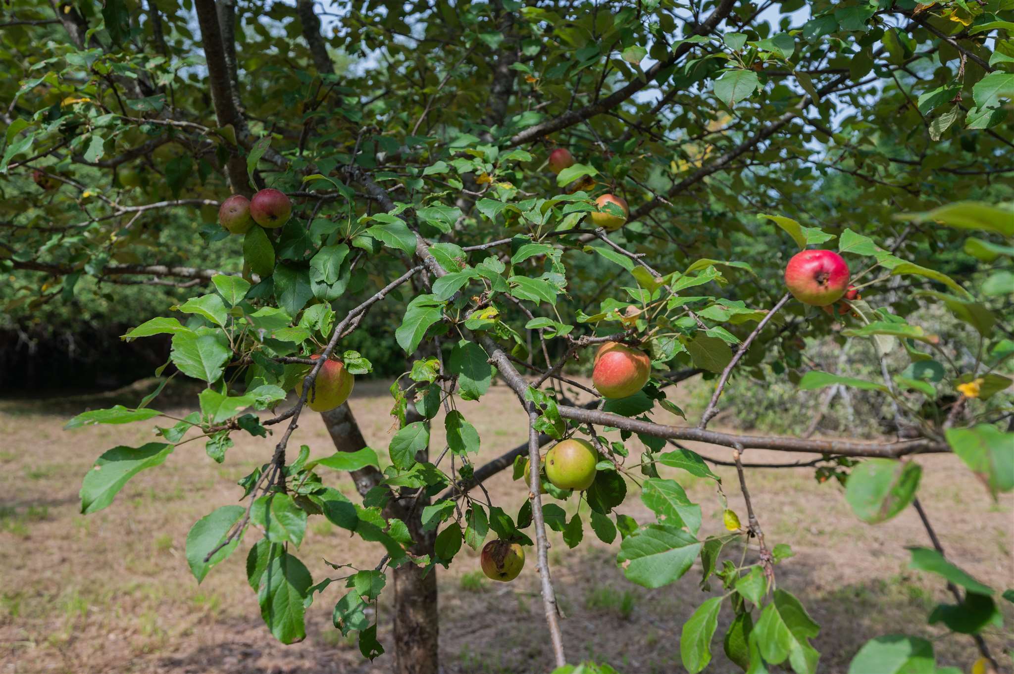 1273 Fowler Road Plainfield, VT 05667 - Photo 33 of 40