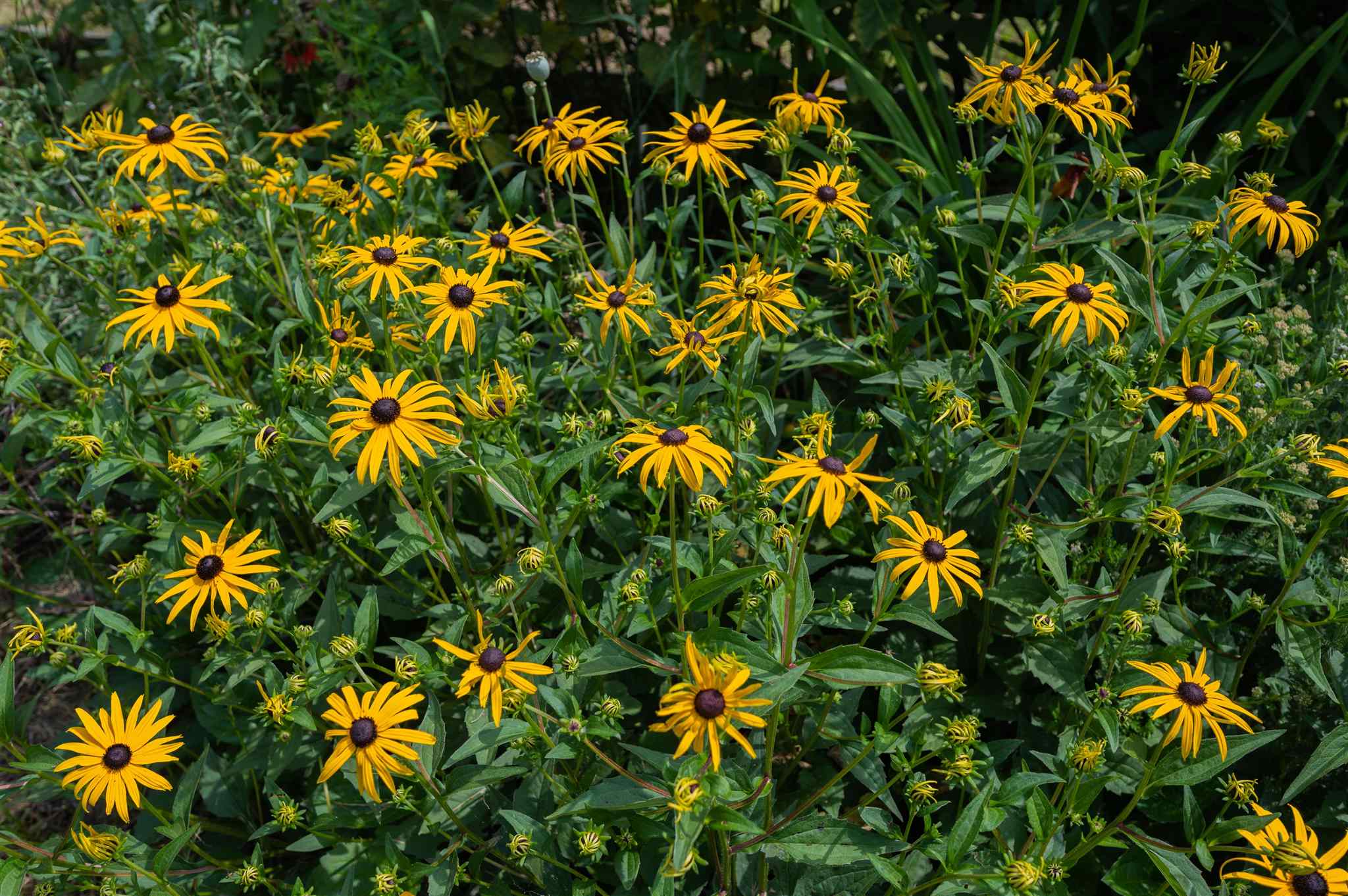 1273 Fowler Road Plainfield, VT 05667 - Photo 38 of 40