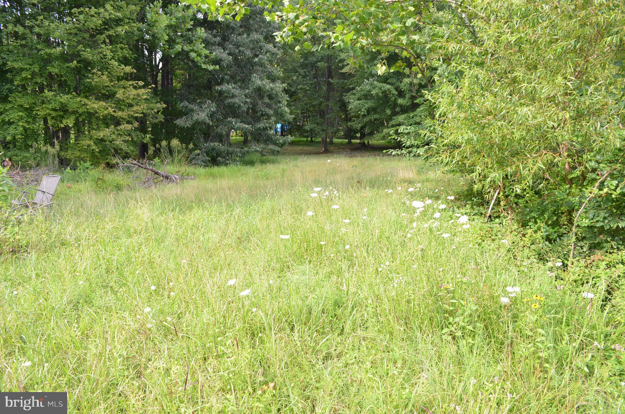 6753 Riley Road Warrenton, VA 20187 - Photo 28 of 29 Exterior (Rear)