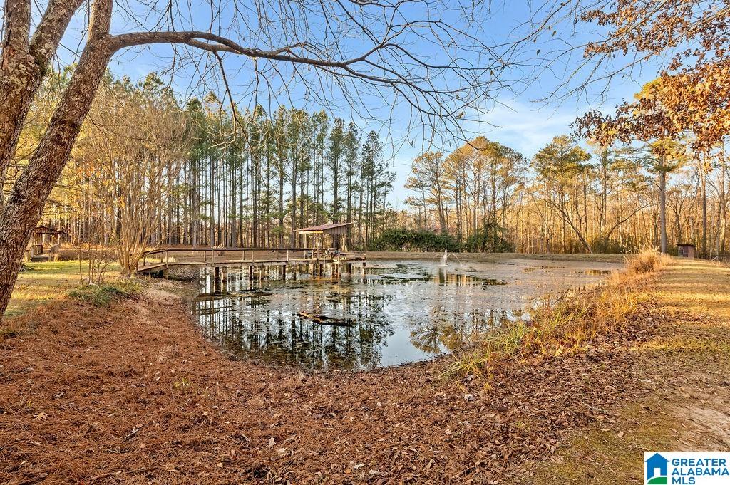 200 Carter Drive Springville, AL 35146 - Photo 7 of 66