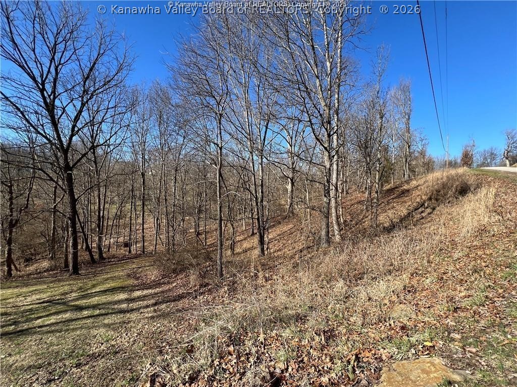 15374 Redmond Ridge Road Gallipolis Ferry, WV 25515 - Photo 7 of 16 Gallery Image 7