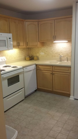 430 Walnut Creek Road, Unit 2407 Lisle, IL 60532 - Photo 4 of 14