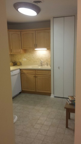 430 Walnut Creek Road, Unit 2407 Lisle, IL 60532 - Photo 5 of 14