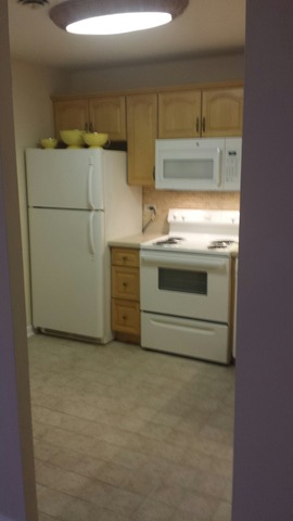 430 Walnut Creek Road, Unit 2407 Lisle, IL 60532 - Photo 6 of 14