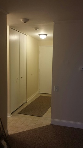 430 Walnut Creek Road, Unit 2407 Lisle, IL 60532 - Photo 8 of 14