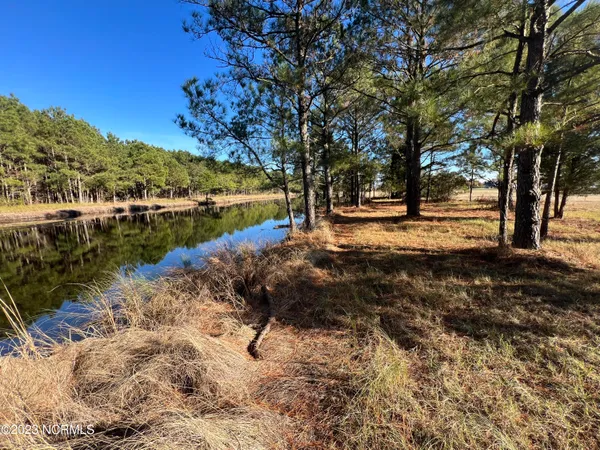 $39,500 | Lot 69 Dowry Creek West, Belhaven, NC 27810