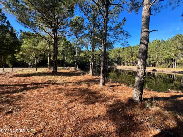 $39,500 | Lot 69 Dowry Creek West, Belhaven, NC 27810