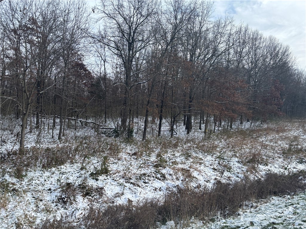 1 Il Rte Flat Flat Rock, IL 62427 - Photo 8 of 8