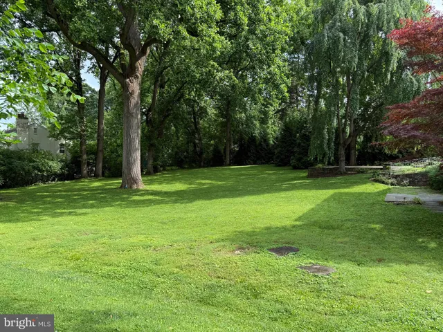 a view of a park with a tree in the background
