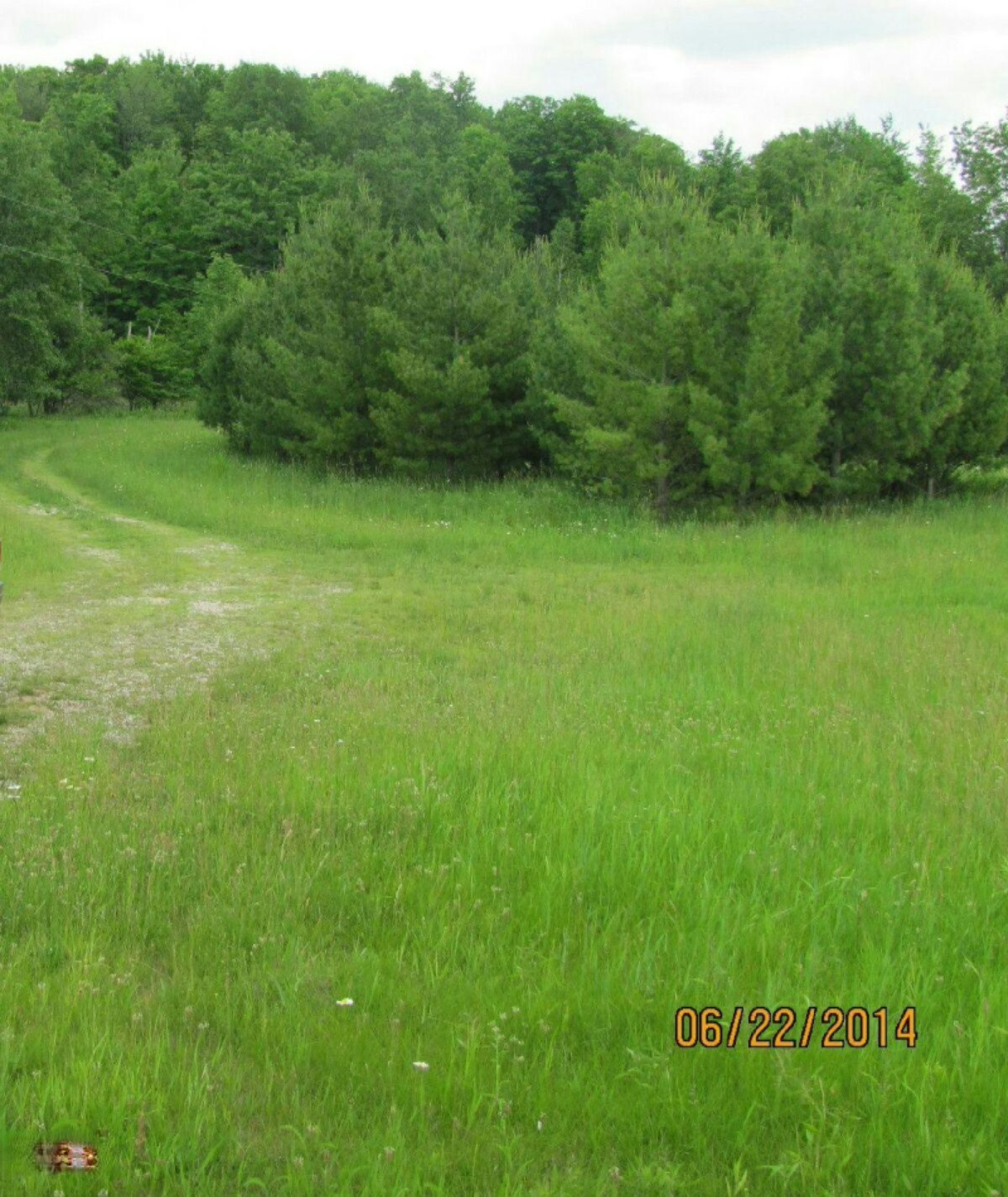 391 North Lakola Road Reed City, MI 49677 - Photo 2 of 4 2016-04-29_10.29.51