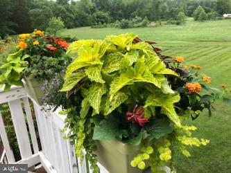 8714 Meetze Road Warrenton, VA 20187 - Photo 55 of 64 Gallery Image 55