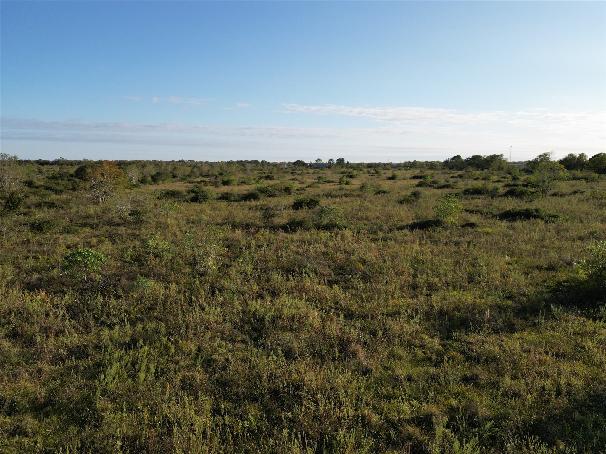0 County Road 220 Angleton, TX 77515 - Photo 16 of 22