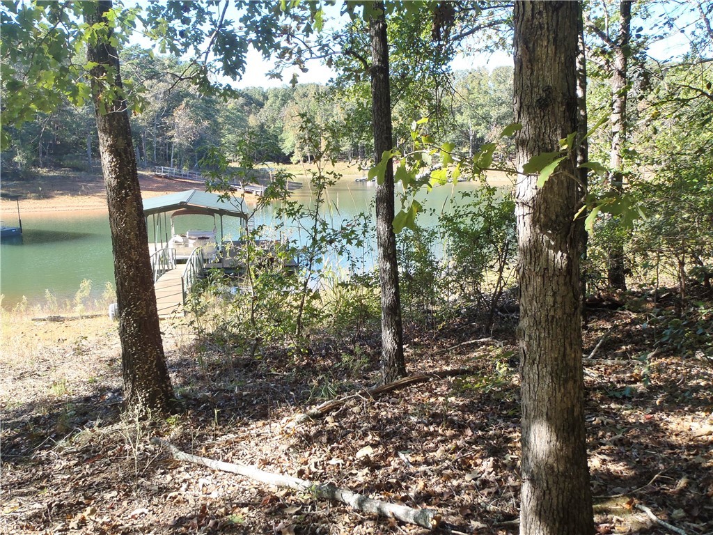 507 Lost Trail Hartwell, GA 30643 - Photo 4 of 20 Gallery Image 4
