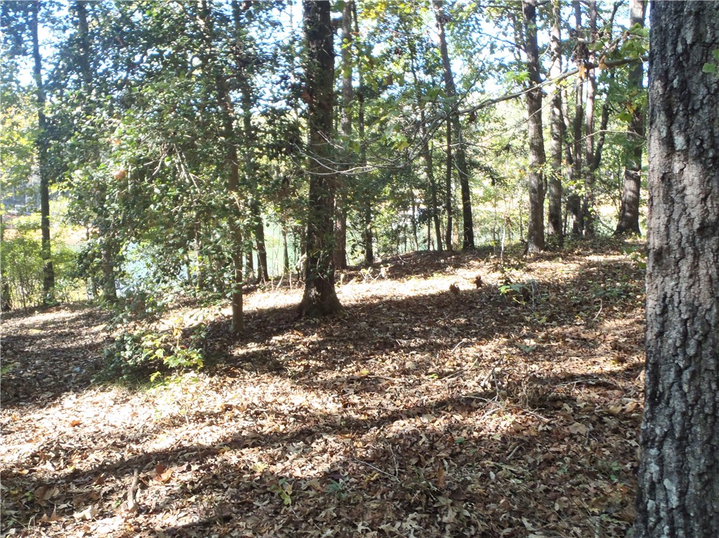507 Lost Trail Hartwell, GA 30643 - Photo 5 of 20 Very Gentle Sloping Grade