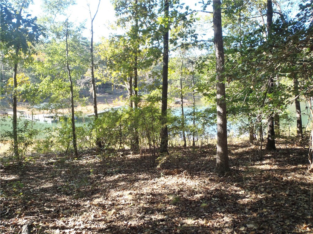 507 Lost Trail Hartwell, GA 30643 - Photo 6 of 20 Mostly Level Building Site