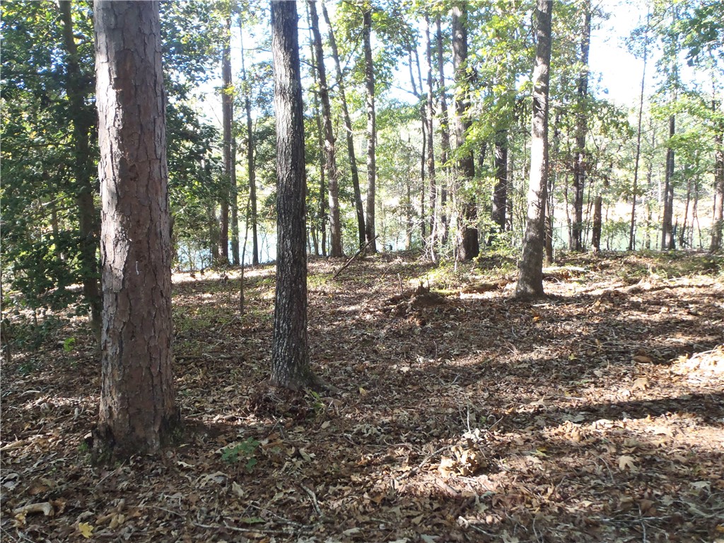507 Lost Trail Hartwell, GA 30643 - Photo 7 of 20 Gallery Image 7