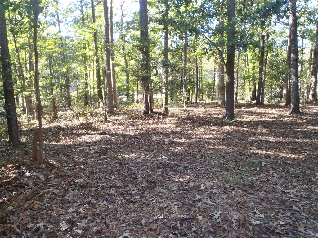 507 Lost Trail Hartwell, GA 30643 - Photo 8 of 20 Lot has Mixed Trees