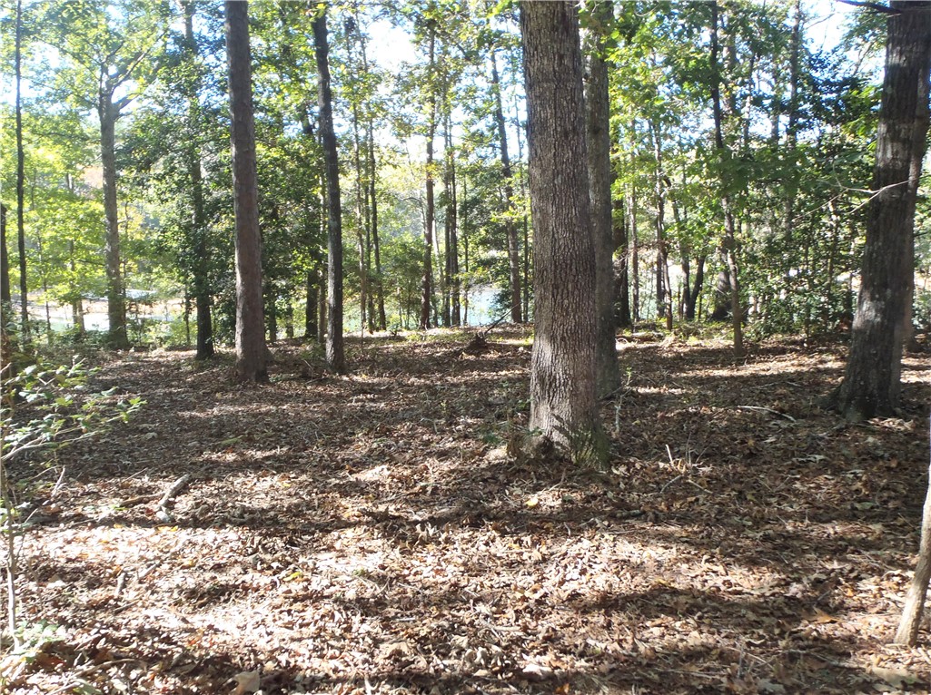 507 Lost Trail Hartwell, GA 30643 - Photo 9 of 20 Gallery Image 9