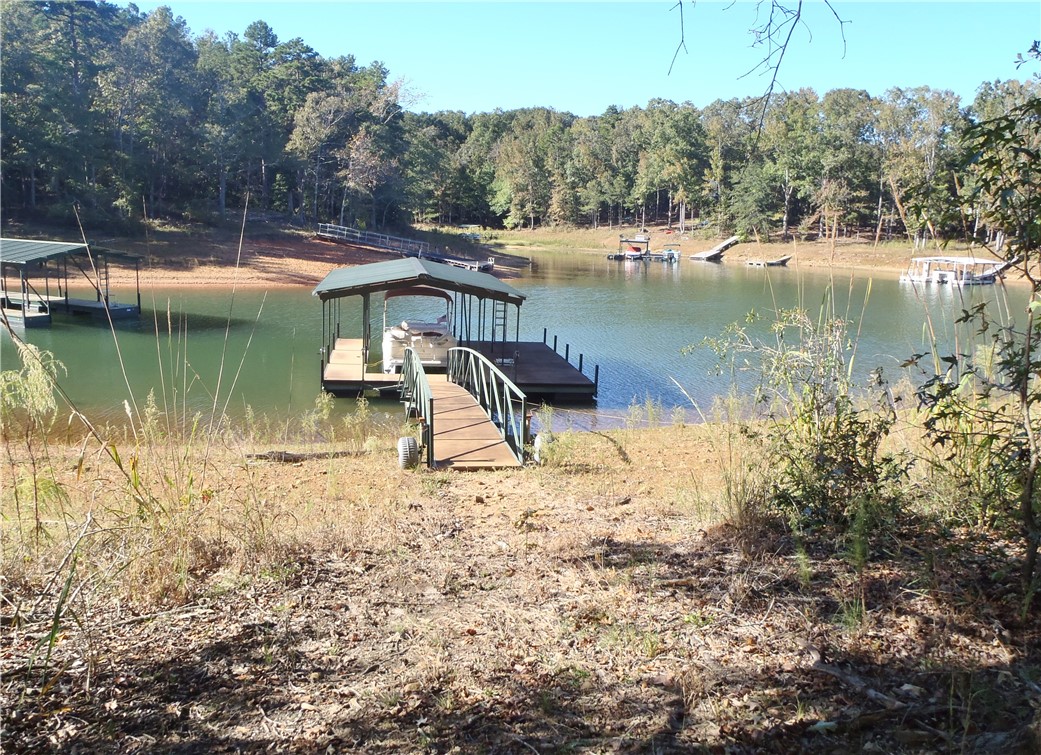 507 Lost Trail Hartwell, GA 30643 - Photo 10 of 20 Gallery Image 10