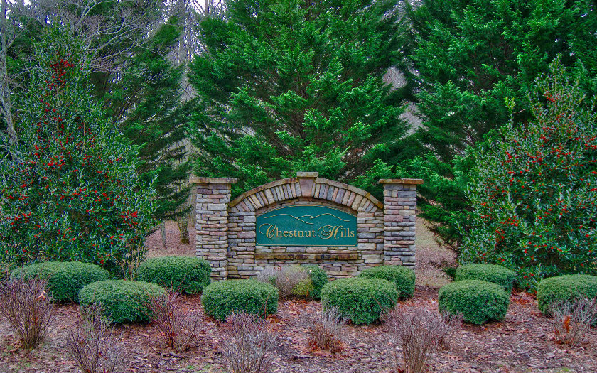 Lot 8 Chestnut Hills Lane Blue Ridge, GA 30513 - Photo 1 of 1 Main View