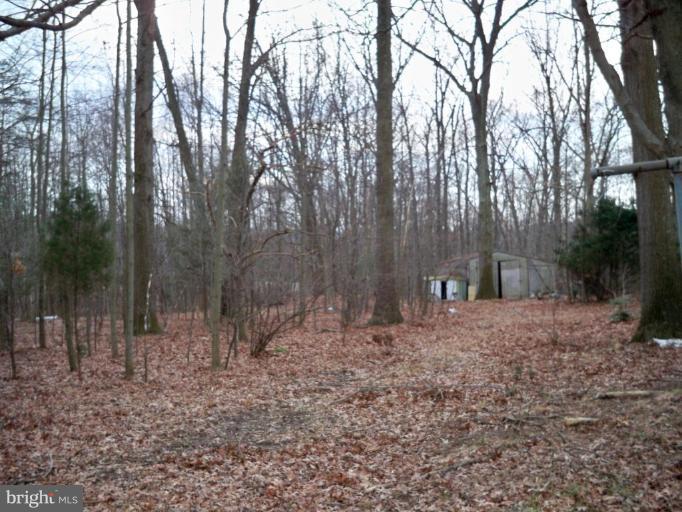 1101 Bernoudy Road White Hall, MD 21161 - Photo 20 of 20 Wooded View / Acreage 2