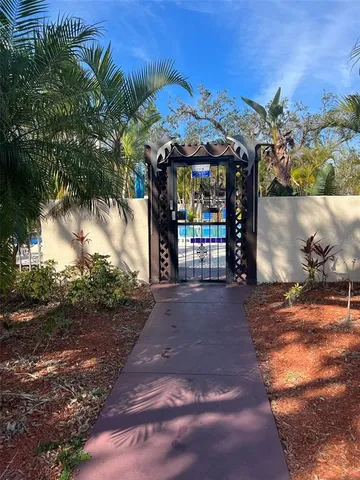 a view of a outdoor space with plants and palm trees