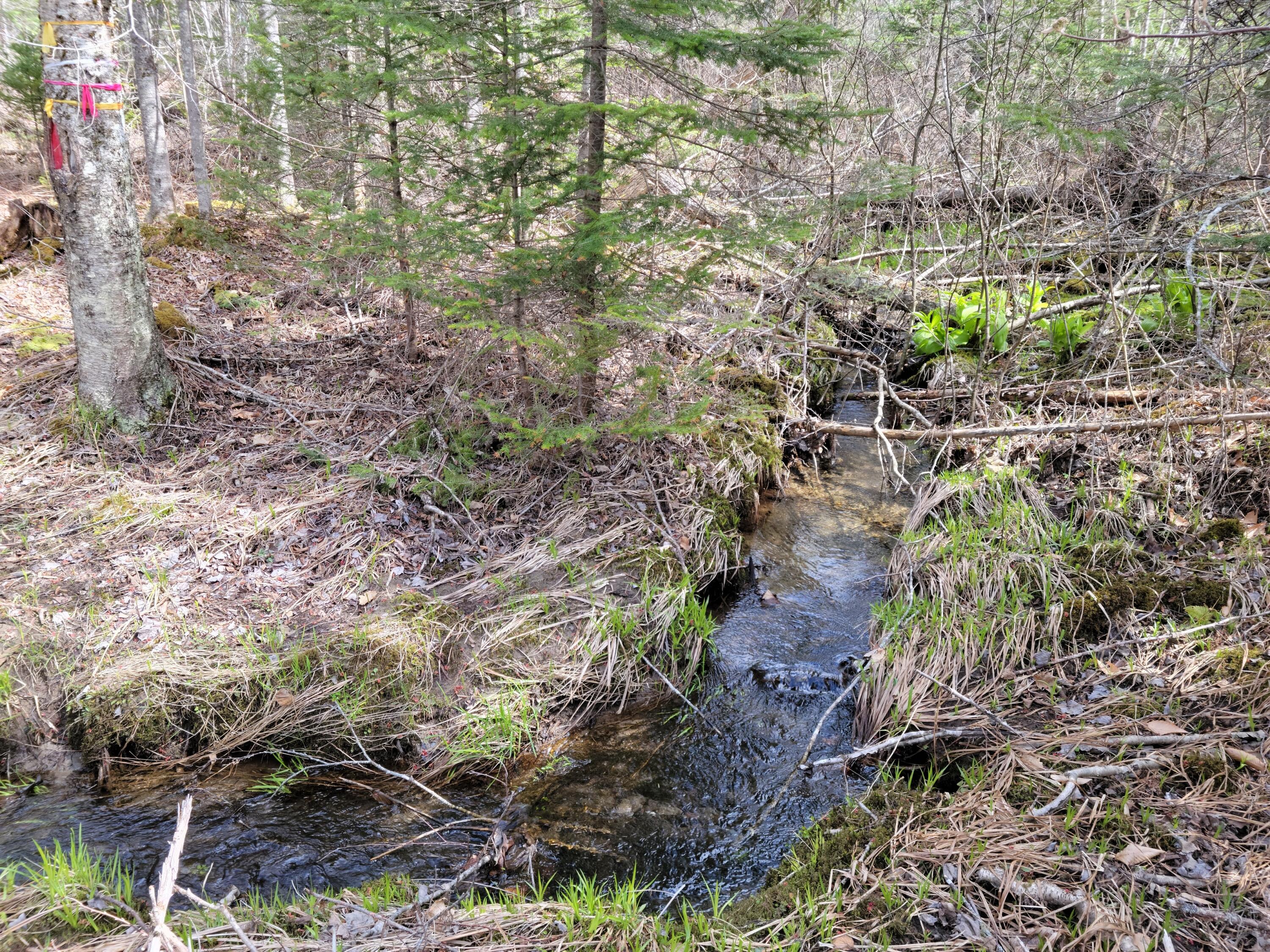 140 Back Searsport Road Belfast, ME 04915 - Photo 8 of 15 20220430_110049