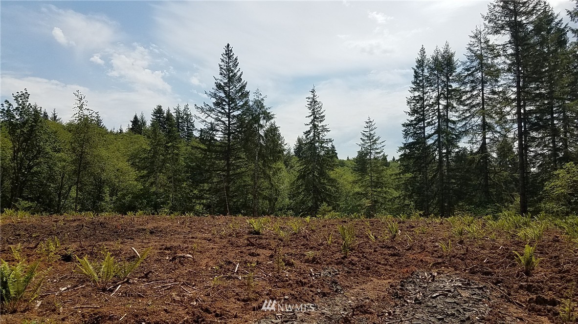 0 Furford Lane Elma, WA 98541 - Photo 2 of 12 Gallery Image 2