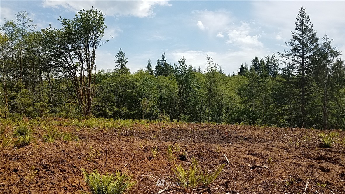0 Furford Lane Elma, WA 98541 - Photo 4 of 12 Gallery Image 4