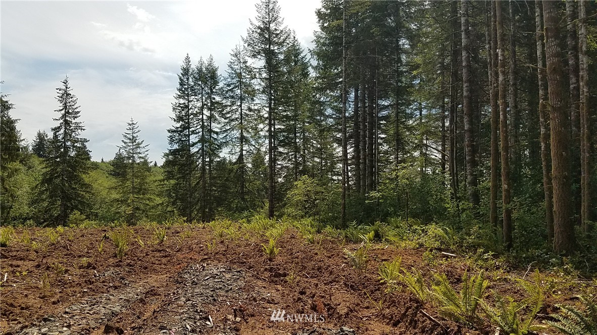 0 Furford Lane Elma, WA 98541 - Photo 7 of 12 Gallery Image 7
