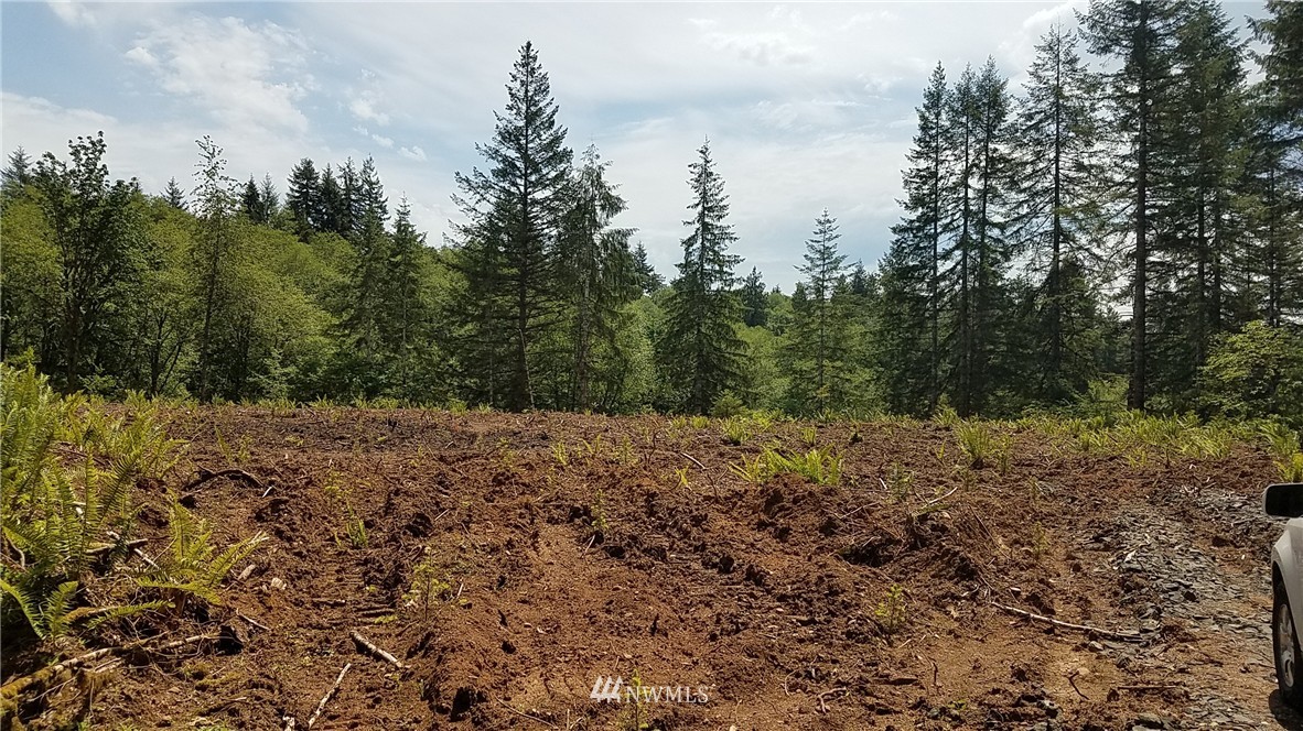 0 Furford Lane Elma, WA 98541 - Photo 8 of 12 Gallery Image 8