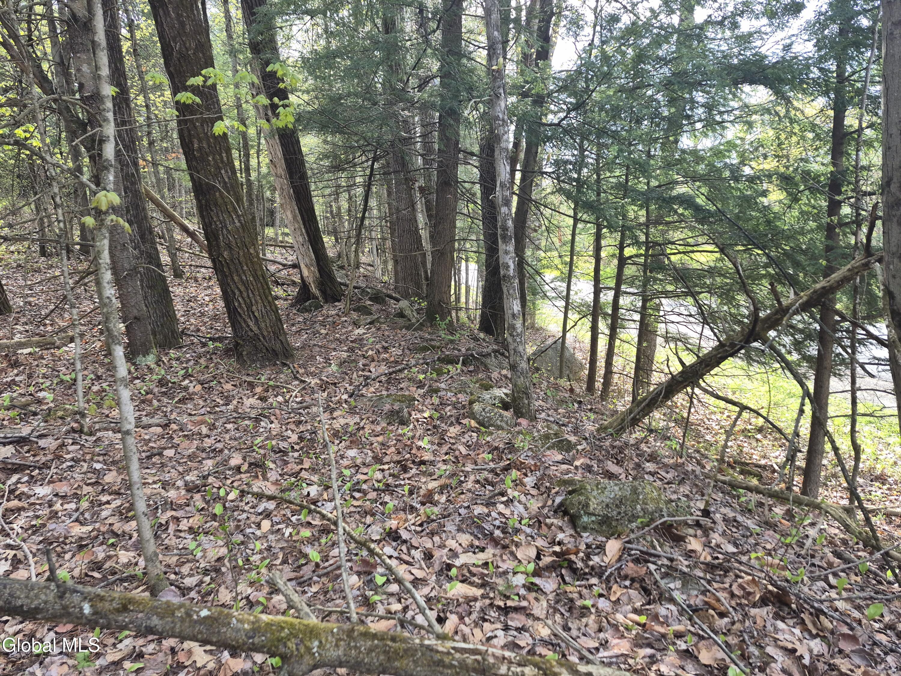 L2.6 Goodman Road Fort Ann, NY 12827 - Photo 9 of 10 20260501_170533