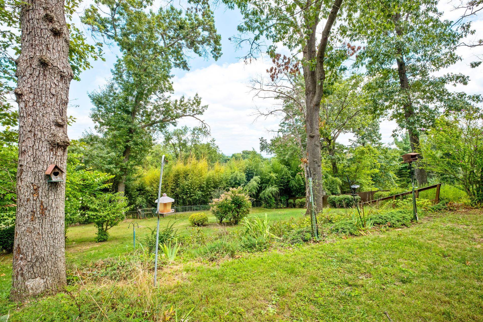 1194 Pinehurst Road Staunton, VA 24401 - Photo 43 of 63 Gallery Image 43