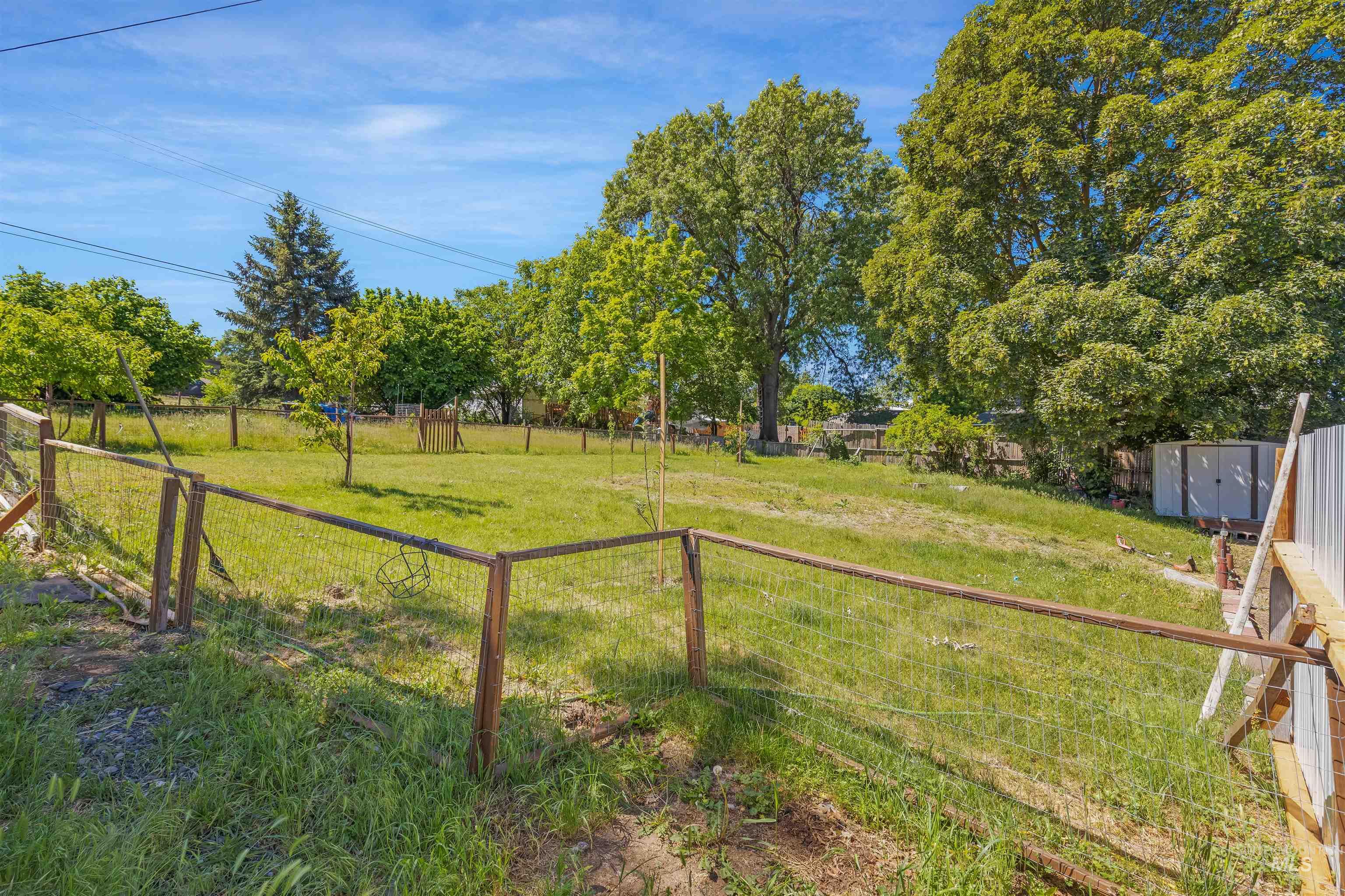 238 Hillcrest Road Lewiston, ID 83501 - Photo 11 of 27 Expansive grassy yard with mature trees and a wire fence boundary