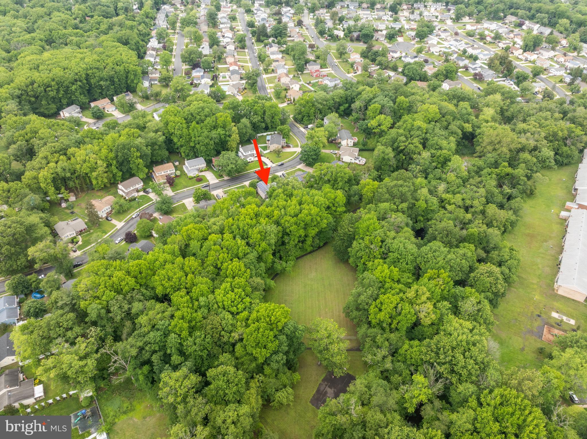 47 Clemson Road Cherry Hill, NJ 08034 - Photo 48 of 50 a view of a plant in a garden