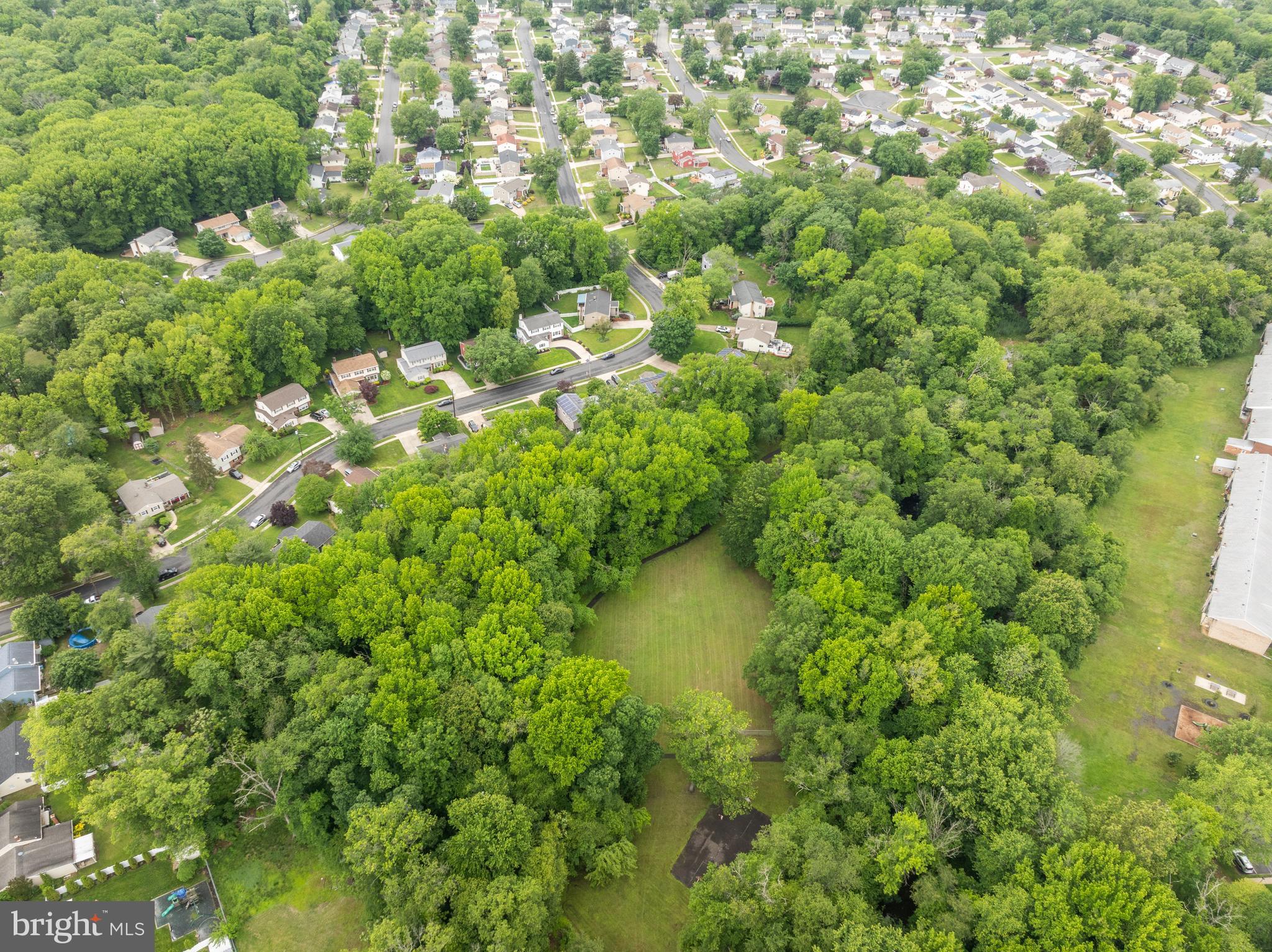 47 Clemson Road Cherry Hill, NJ 08034 - Photo 49 of 50 a view of a garden with plants