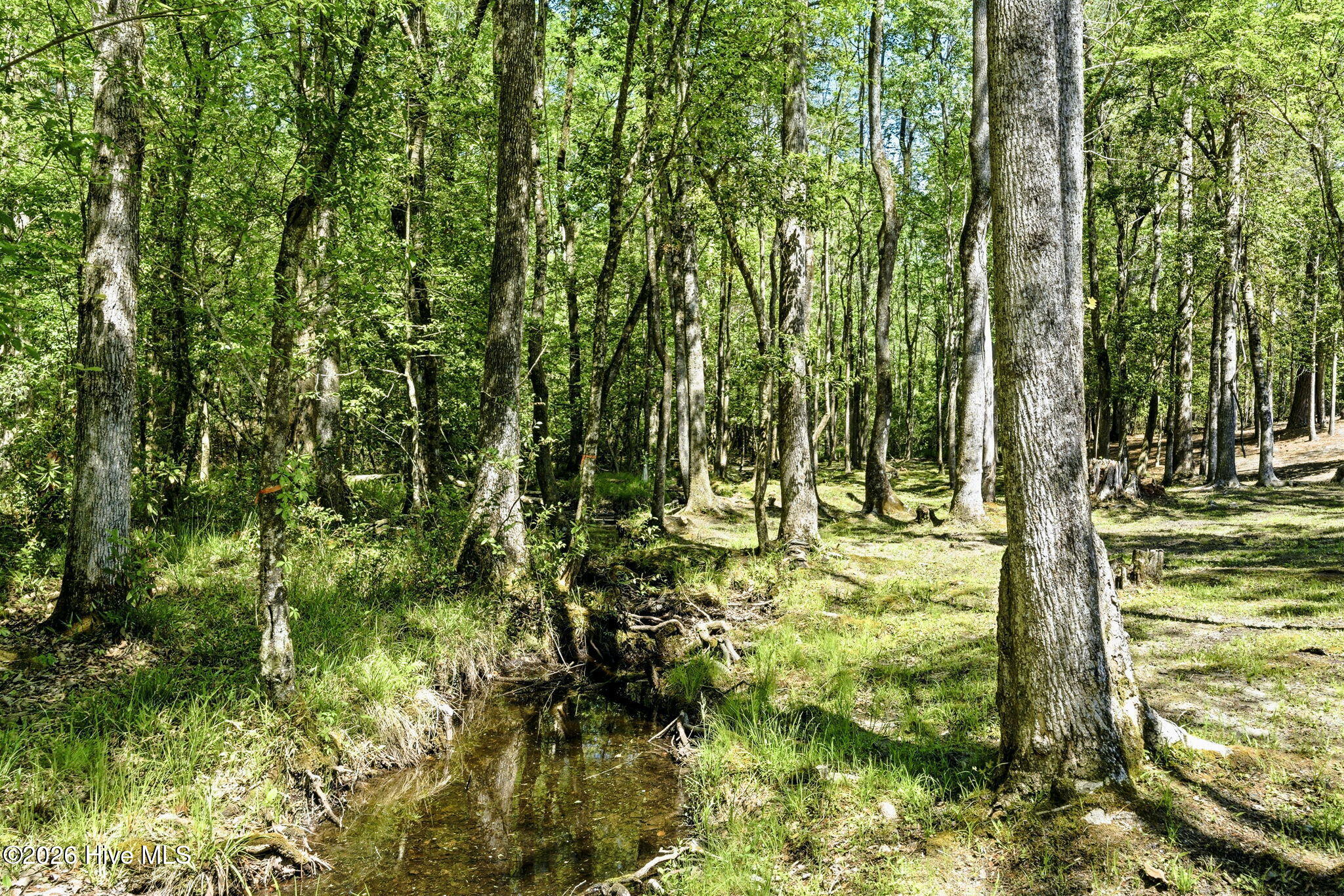383 Wolfridge Road Northeast Leland, NC 28451 - Photo 23 of 24 Creek